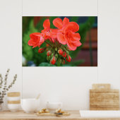 Poster Fleurs et bourgeons (Cuisine)