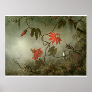 Poster Fleurs et colibris de passion