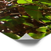 Poster Fleurs et fleurs roses printanières Branches feuil (Coin)