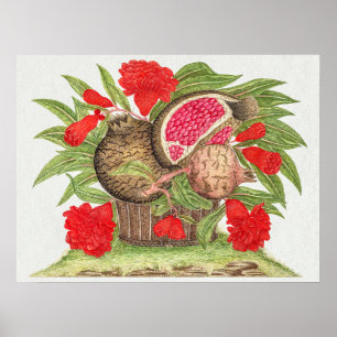 Poster Fleurs et fruits de grenade vintages