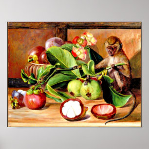 Poster Fleurs et fruits de Mangosteen ; Singe de Singapou