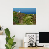 Poster Fleurs et mouettes sur l'île d'Anacapa (Bureau à domicile)