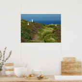 Poster Fleurs et mouettes sur l'île d'Anacapa (Cuisine)