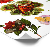 Poster Fleurs et papillons insectes insectes nature plant (Coin)