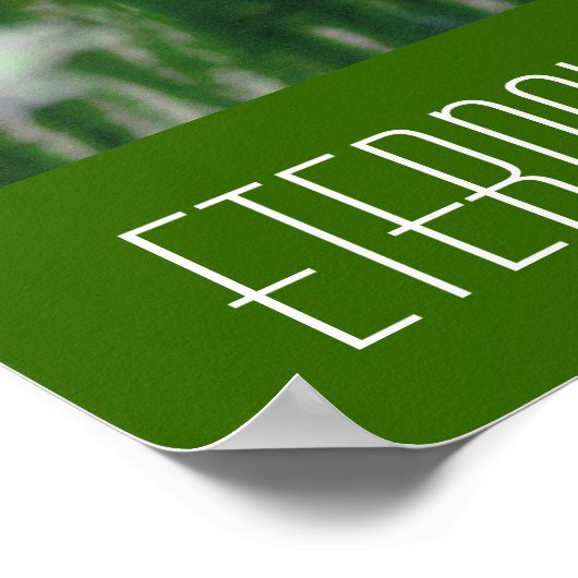 Poster Fleurs éternelles (Coin)