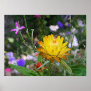 Poster Fleurs éternelles.