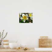 Poster Fleurs exotiques hawaïennes (Cuisine)
