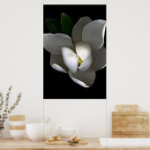 Poster Fleurs | Fleur de Magnolia blanc unique (Cuisine)
