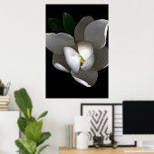 Poster Fleurs | Fleur de Magnolia blanc unique (Bureau à domicile)