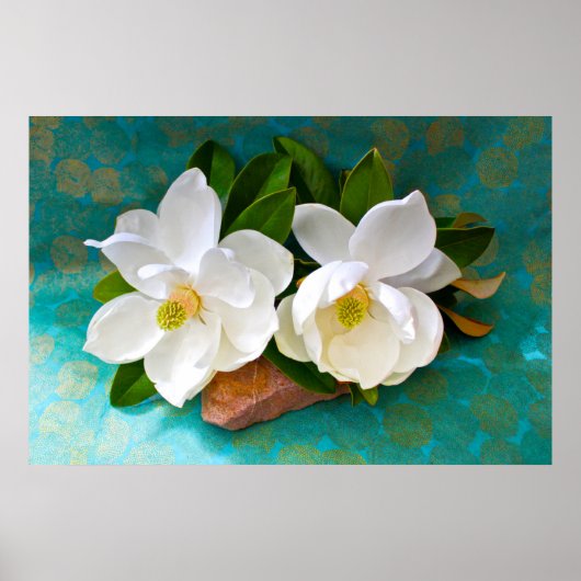 Poster Fleurs | Fleur Magnolia (Devant)