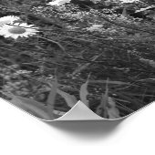 Poster Fleurs Fleurs Fleurs Noir Blanc Imprimer (Coin)