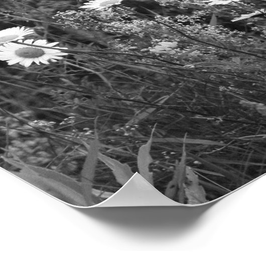 Poster Fleurs Fleurs Fleurs Noir Blanc Imprimer (Coin)