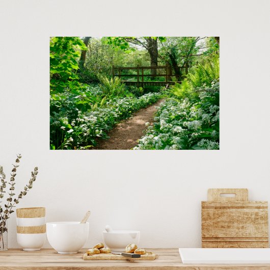 Poster Fleurs | Fleurs sauvages blancs en forêt (Cuisine)