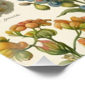Poster Fleurs florales vintages (Coin)