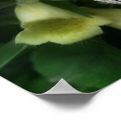 Poster Fleurs Foxglove Intense Ajouter Votre Photo (Coin)