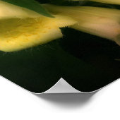 Poster Fleurs Foxglove intenses (Coin)