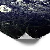 Poster Fleurs Fraîches Sauvages Noir Et Blanc (Coin)