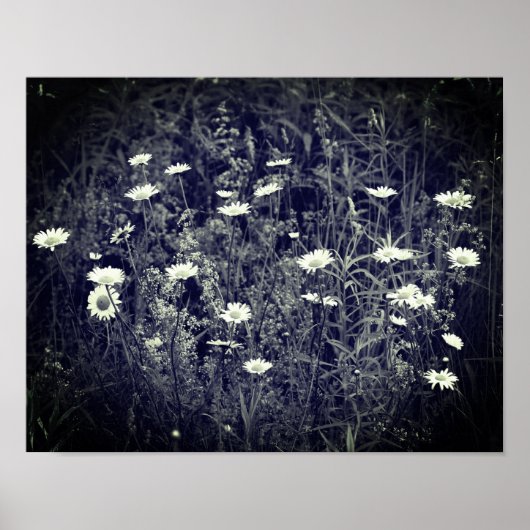 Poster Fleurs Fraîches Sauvages Noir Et Blanc (Devant)