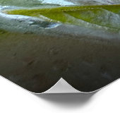 Poster Fleurs Gelées (Coin)