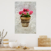 Poster Fleurs | Géranium en fleur en pot (Cuisine)