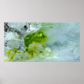 Poster Fleurs glacées, (Devant)