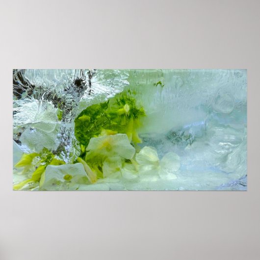 Poster Fleurs glacées, (Devant)