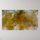 Poster Fleurs glacées, (Devant)