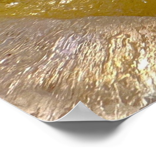 Poster Fleurs glacées, (Coin)