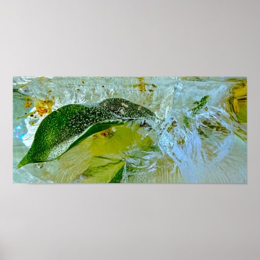 Poster Fleurs glacées, (Devant)