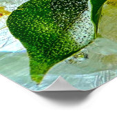 Poster Fleurs glacées, (Coin)