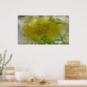 Poster Fleurs glacées, (Cuisine)