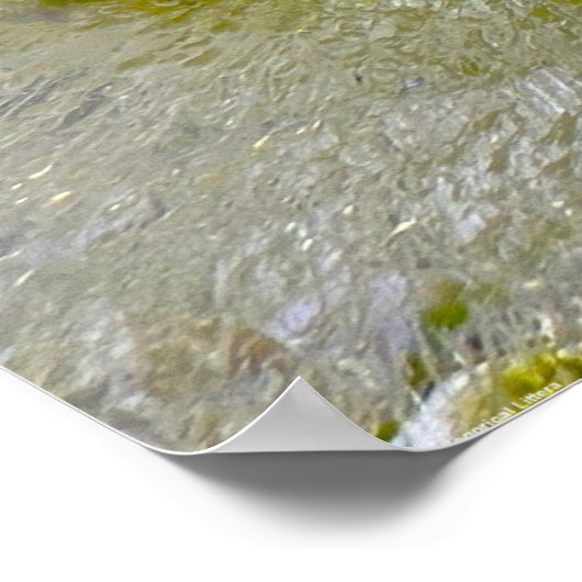 Poster Fleurs glacées, (Coin)