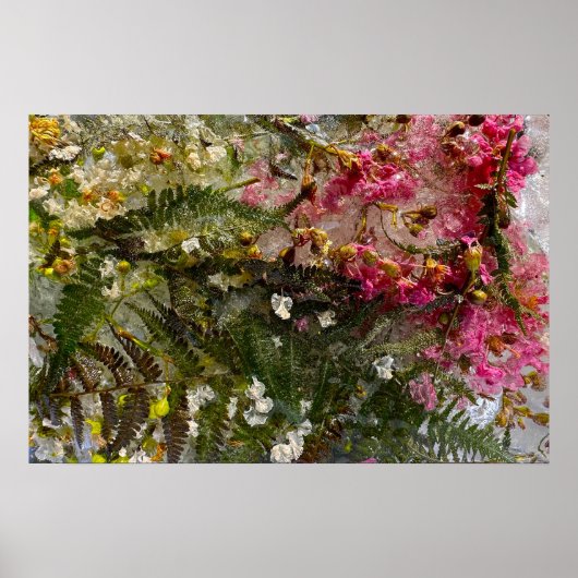 Poster Fleurs glacées, (Devant)