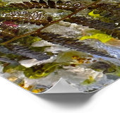 Poster Fleurs glacées, (Coin)