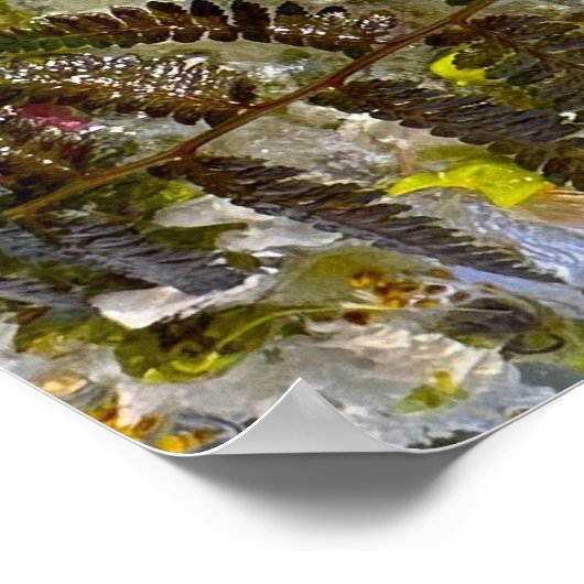 Poster Fleurs glacées, (Coin)