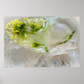 Poster Fleurs glacées, (Devant)