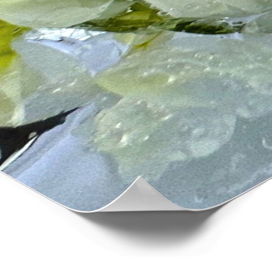 Poster Fleurs glacées, (Coin)