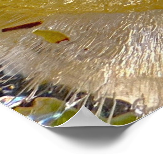 Poster Fleurs glacées, (Coin)