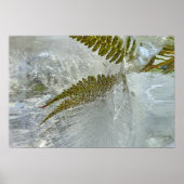 Poster Fleurs glacées, (Devant)