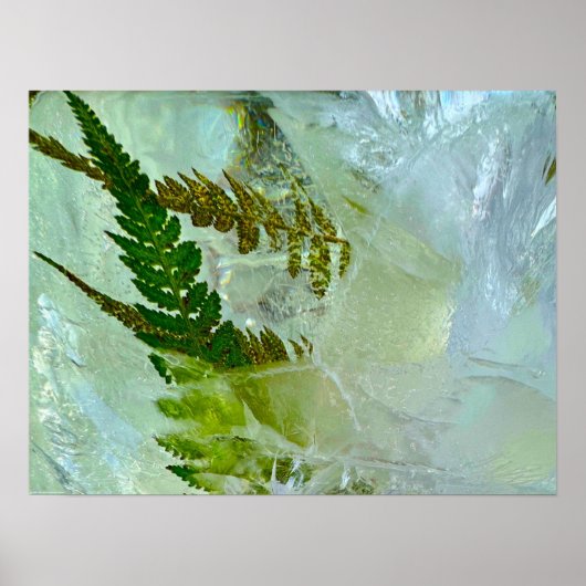 Poster Fleurs glacées, (Devant)