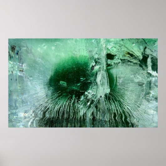 Poster Fleurs glacées, (Devant)