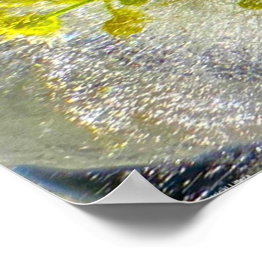 Poster Fleurs glacées, (Coin)