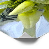 Poster Fleurs glacées, (Coin)