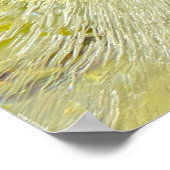 Poster Fleurs glacées, (Coin)