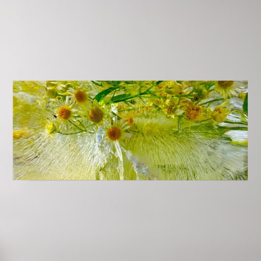 Poster Fleurs glacées, (Devant)