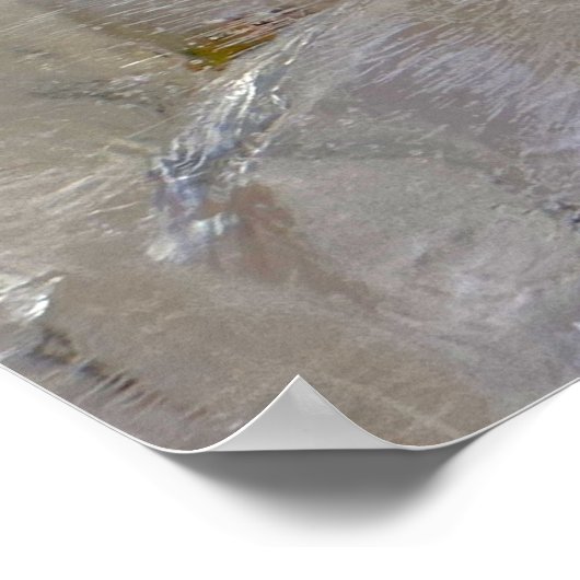 Poster Fleurs glacées, (Coin)