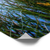 Poster Fleurs | Grand Teton National Park, Wyoming (Coin)