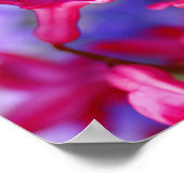 Poster Fleurs Hyacinth (Coin)