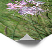 Poster Fleurs inclinables (Coin)