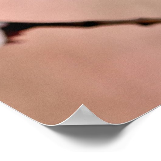 Poster Fleurs japonaises d'abricot (Coin)